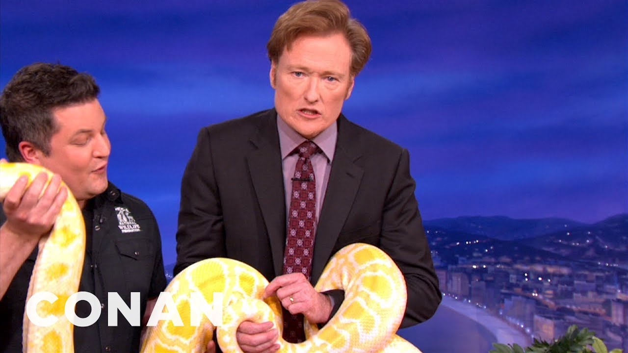 Animal Expert David Mizejewski: Burmese Python & Cape Vulture | CONAN on TBS