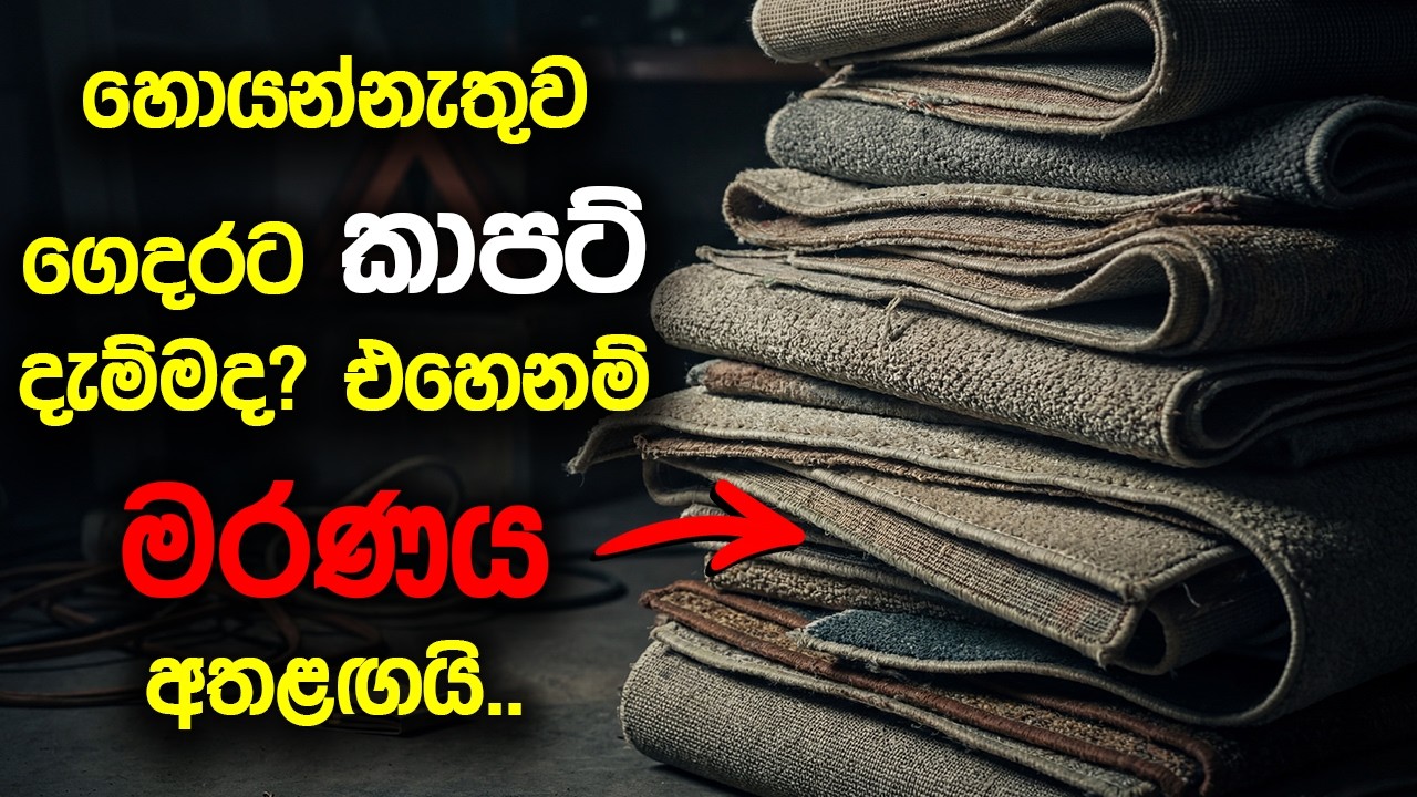 හොයන්නැතුව ලාබෙට ගෙදරට කාපට් දැම්මද? ඔ​බ නොදැනම කාපට් ඔබට මරණය ගේන හැටි මෙන්න..!