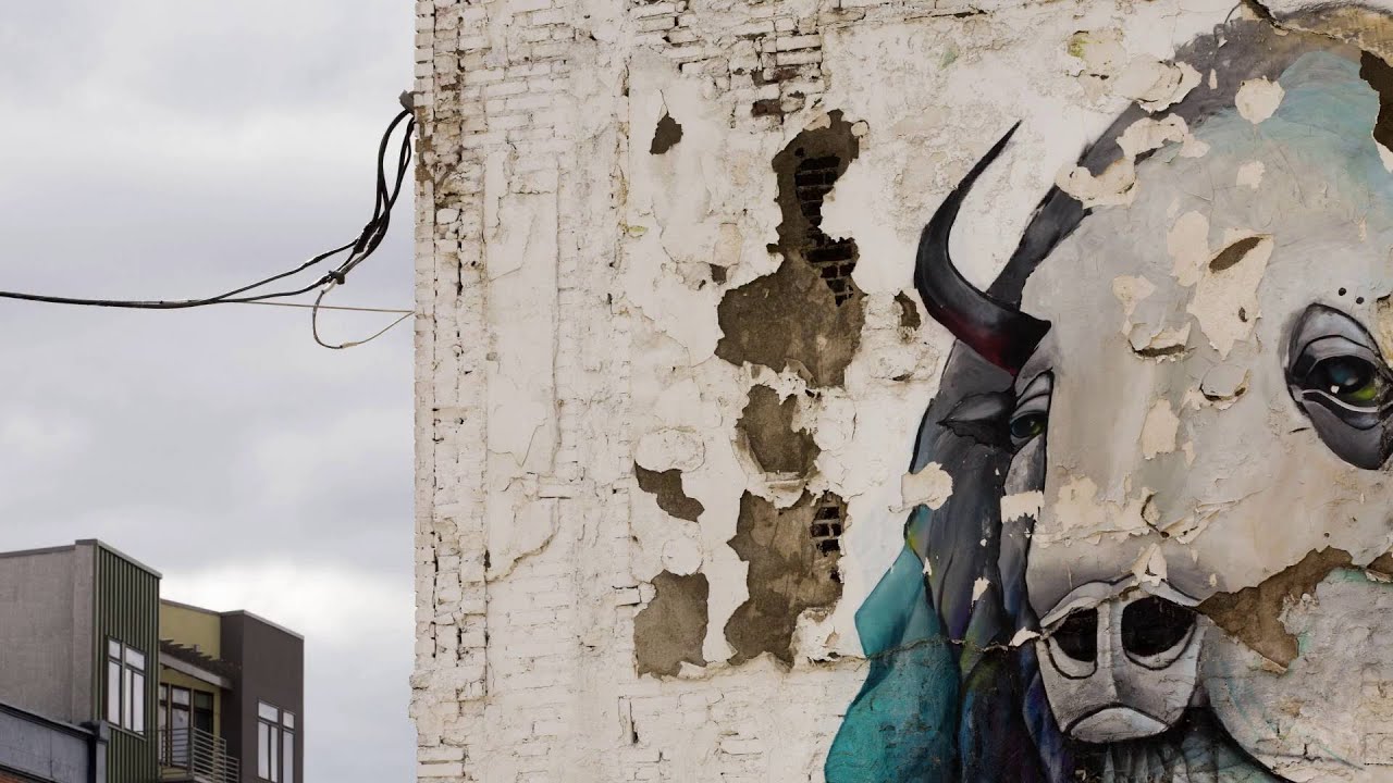 Gentrification in Philadelphia Neighborhoods&mdash;An Artist&rsquo;s Perspective