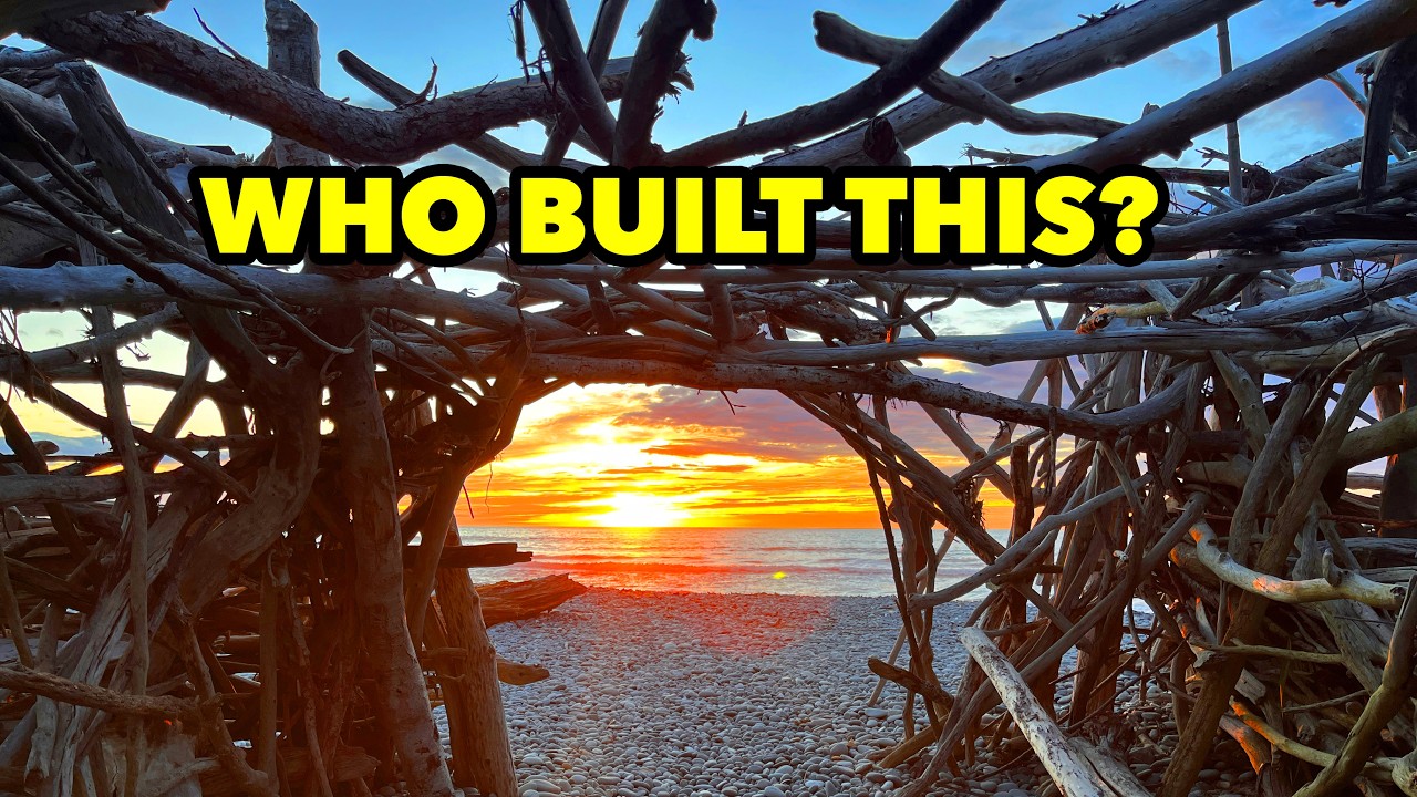 Unexpected Finds on New Zealand’s Wild West Coast