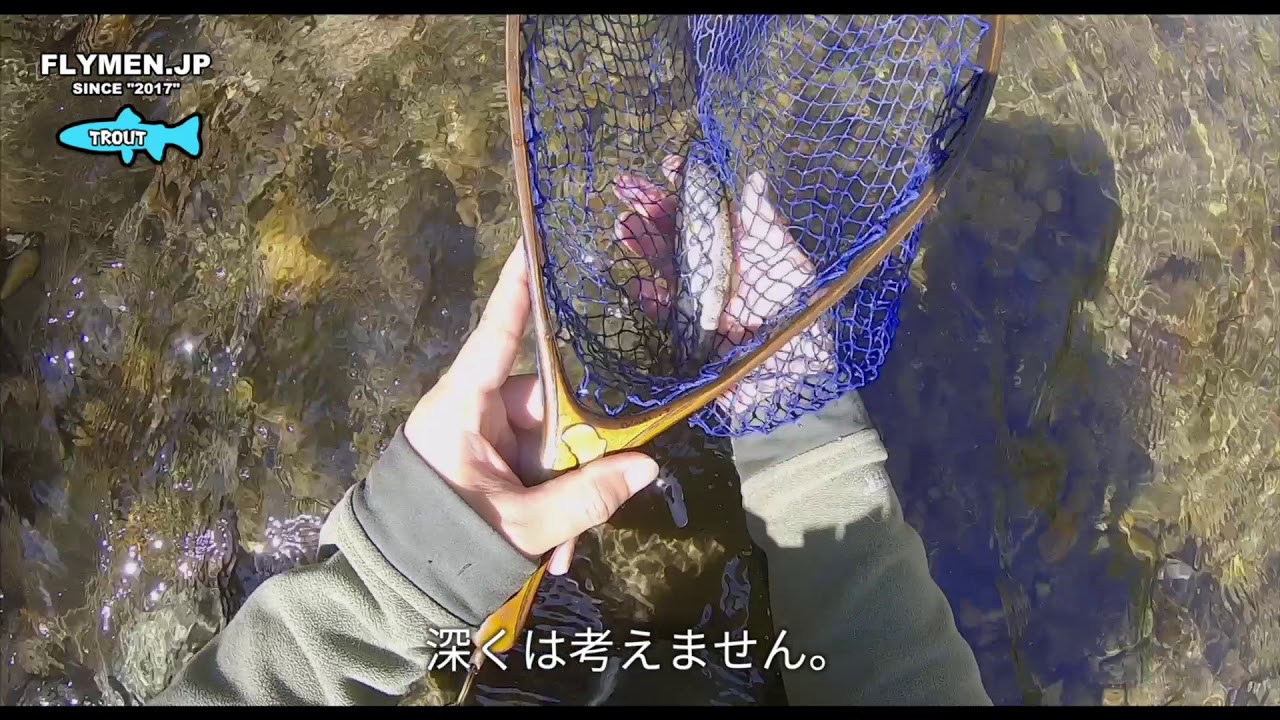 【2020渓流釣り】河津川本流から大鍋川出合いでのフライフィッシング ！