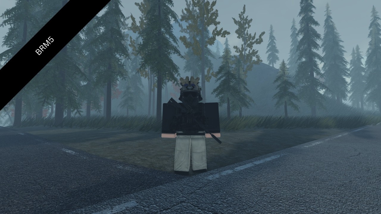 Roblox Blackhawk Rescue Mission 5 | Stealth | KOZLOVKA