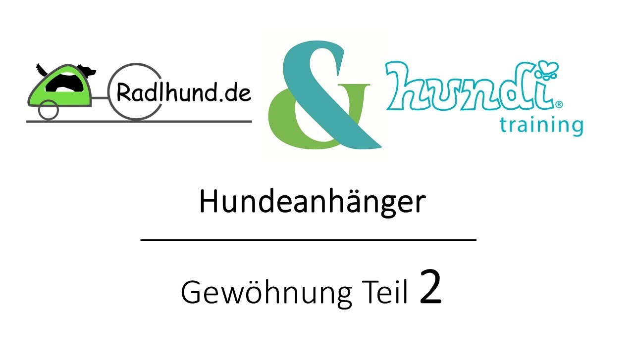 Gewöhnung an den Hundeanhänger Teil 2