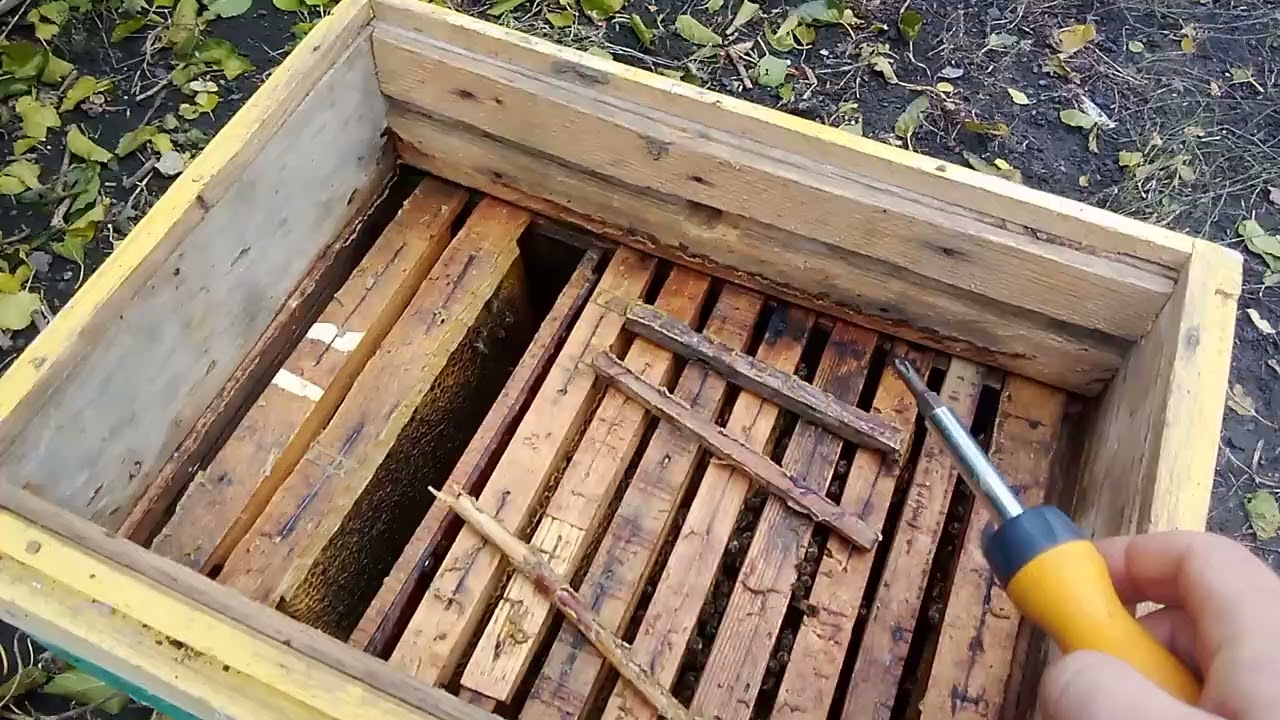 Утеплення - вентиляція, важливо для доброї зимівлі бджіл.