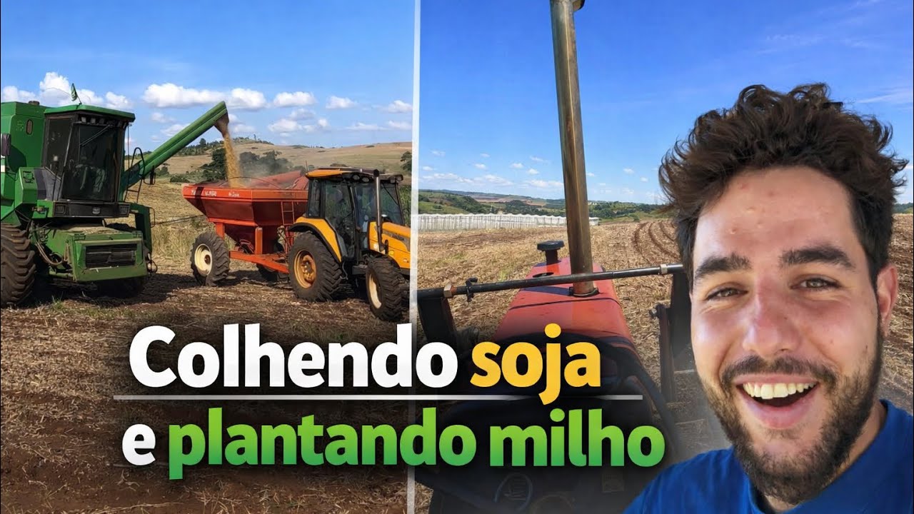 Colhendo soja e plantando milho 🌽 🚜 | Ft. Abimael Ranieri e Abner Ranieri 