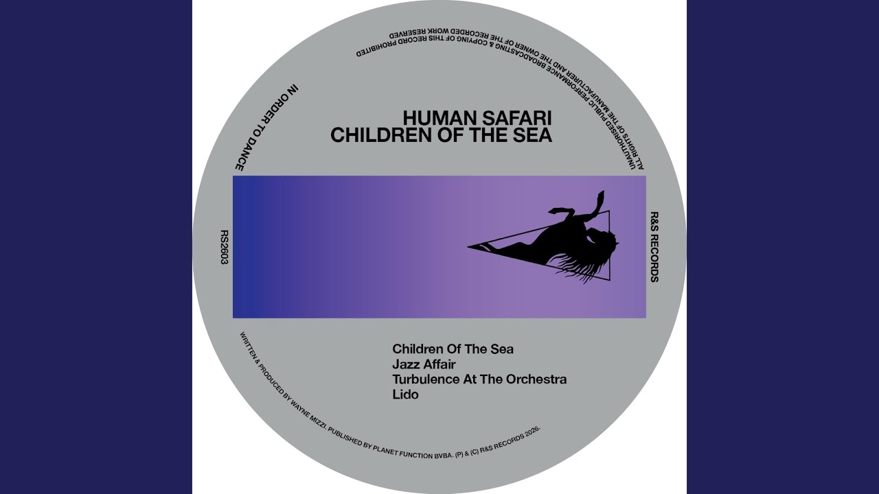 Turbulence At The Orchestra