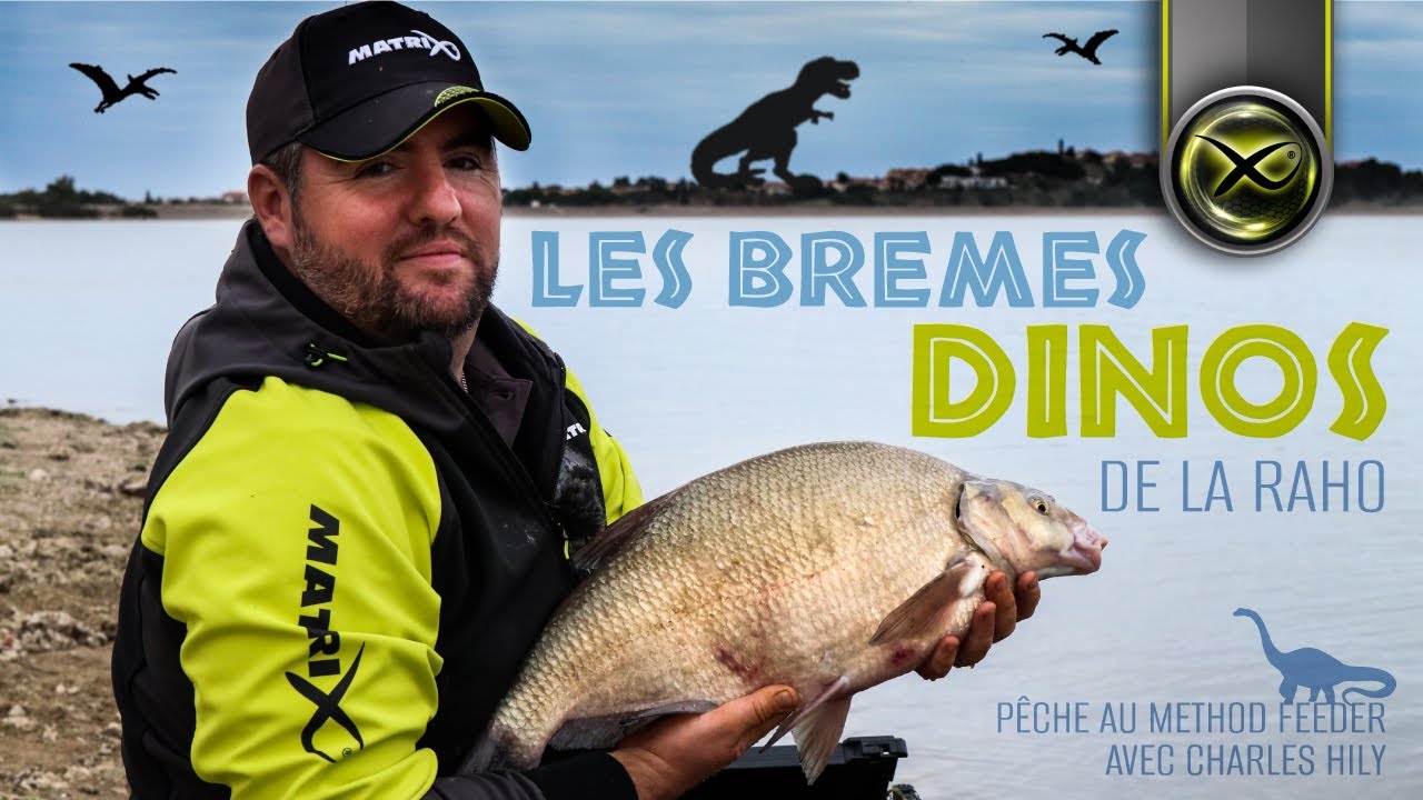 Les Brèmes Dinos de la Raho - Pêche de Brèmes géantes au method feeder - Matrix Fishing TV France