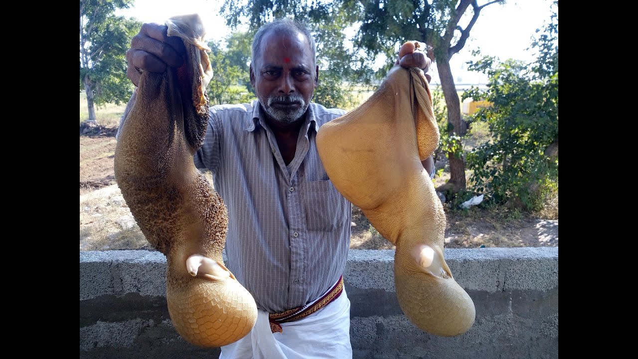 Cooking Goat Intestine Fry with Chickpea in my Village /Boti Fry/ Tasty Village Food Factory
