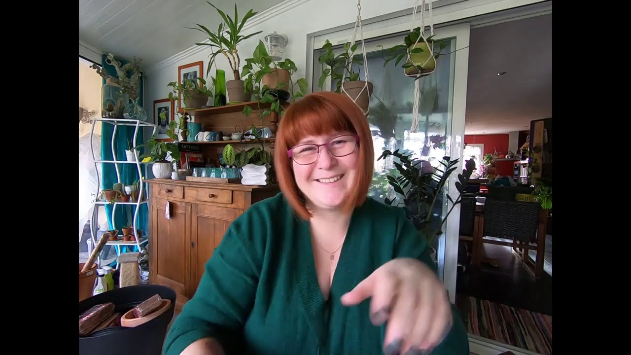 VLOG#2🌱Plantes - commandes - Illustrations- Bijou - bonnes affaires etc...