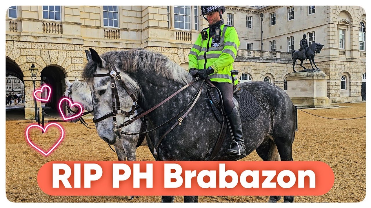 Horse Guards' Most Famous Police Horse Brabazon Has Sadly Passed!