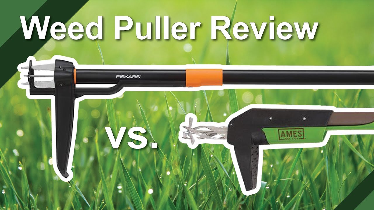 Fiskars vs Ames Weeder Review