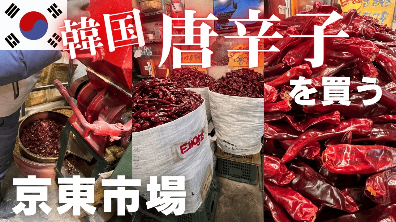 【風味抜群🌶️】韓国唐辛子でキムチを作りたい！！検疫は？持ち帰れたのか？？日本と違ったアノ野菜に驚き🤯