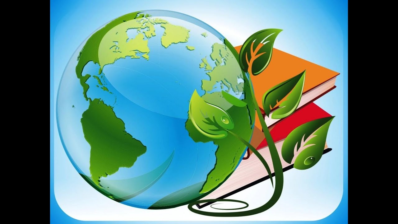 Естествознание  4 класс.  СОР № 1 за раздел 