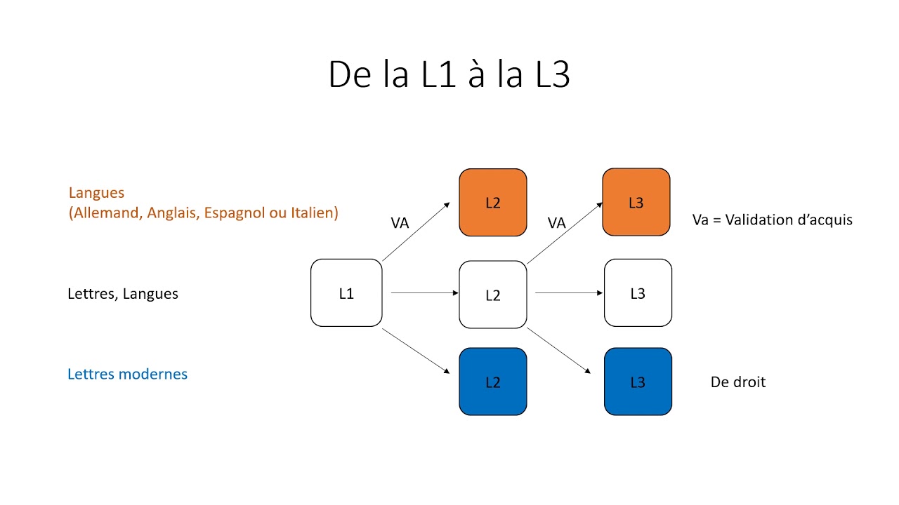 Présentation de la licence Lettres-Langue