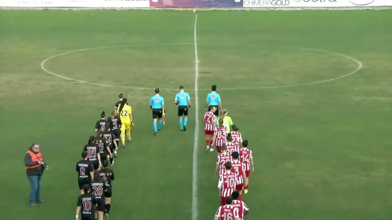 Acf Arezzo-Vicenza 3-1, la sintesi della partita