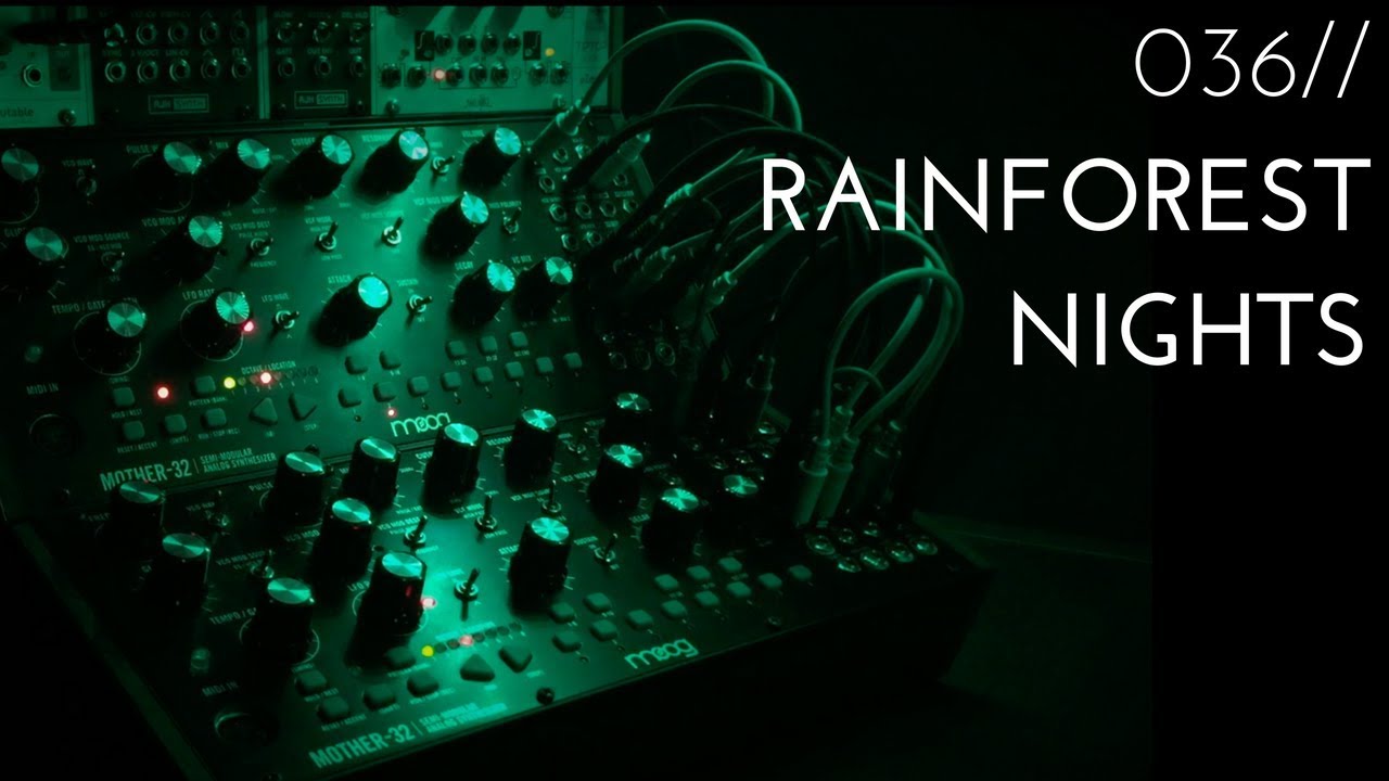 036//Rainforest Nights - 2x Moog Mother 32 rich self-generating atmosphere