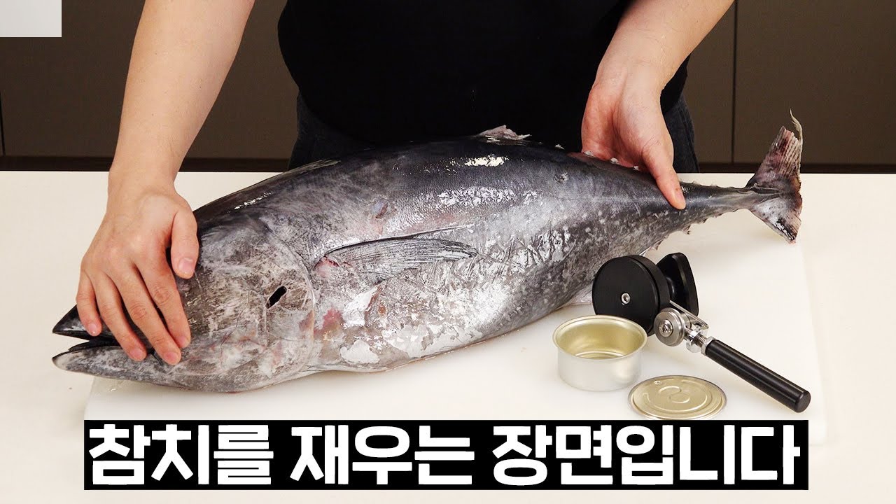캔참치는 사드세요..... 제발