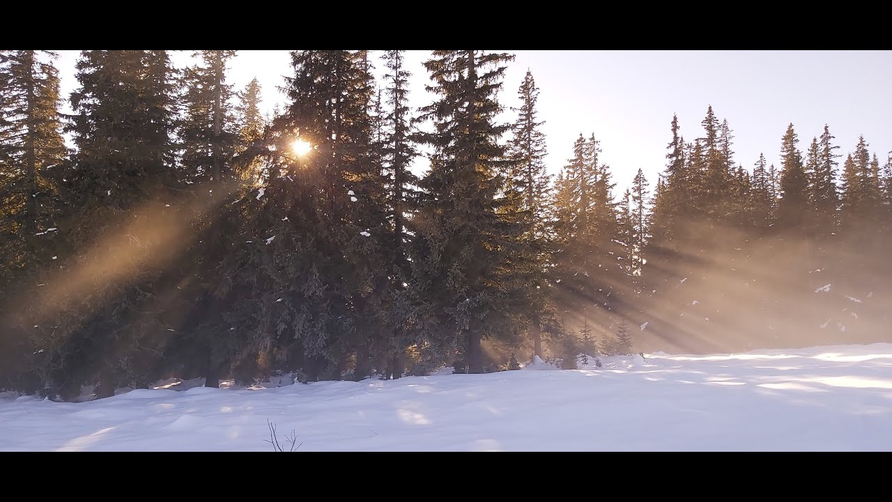 Carpathian Mountains winter hiking (part 2)   Refugiul Iezer, Cabana lomhasi