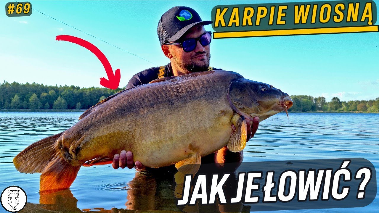 Jak łowić karpie w Maju ? 🌞🌞 - Łowisko Spalona🔥🔥