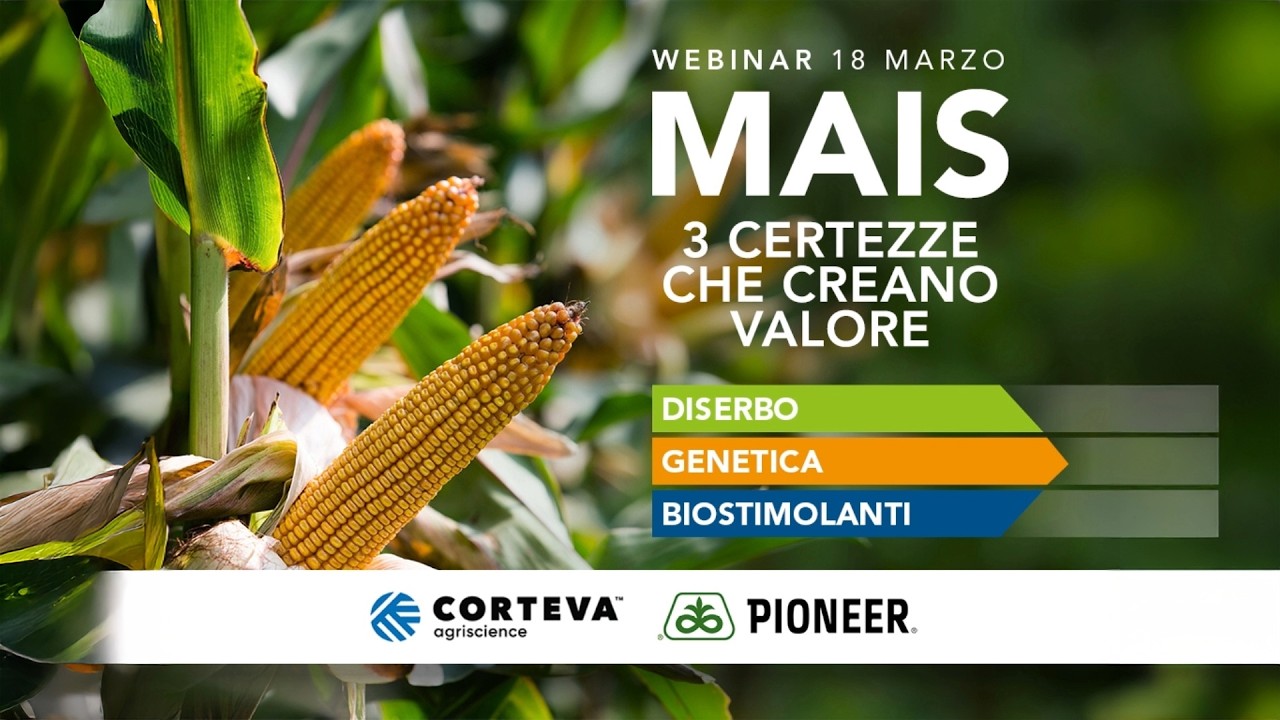 Webinar - Mais: 3 certezze che creano valore