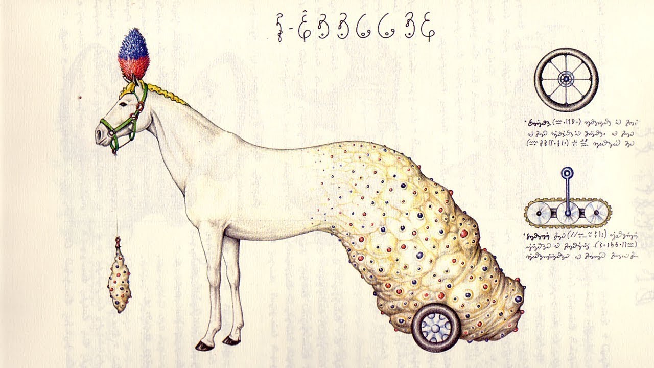 Das mysteri&ouml;se Buch, das niemand lesen kann - Altes Voynich Manuskript!