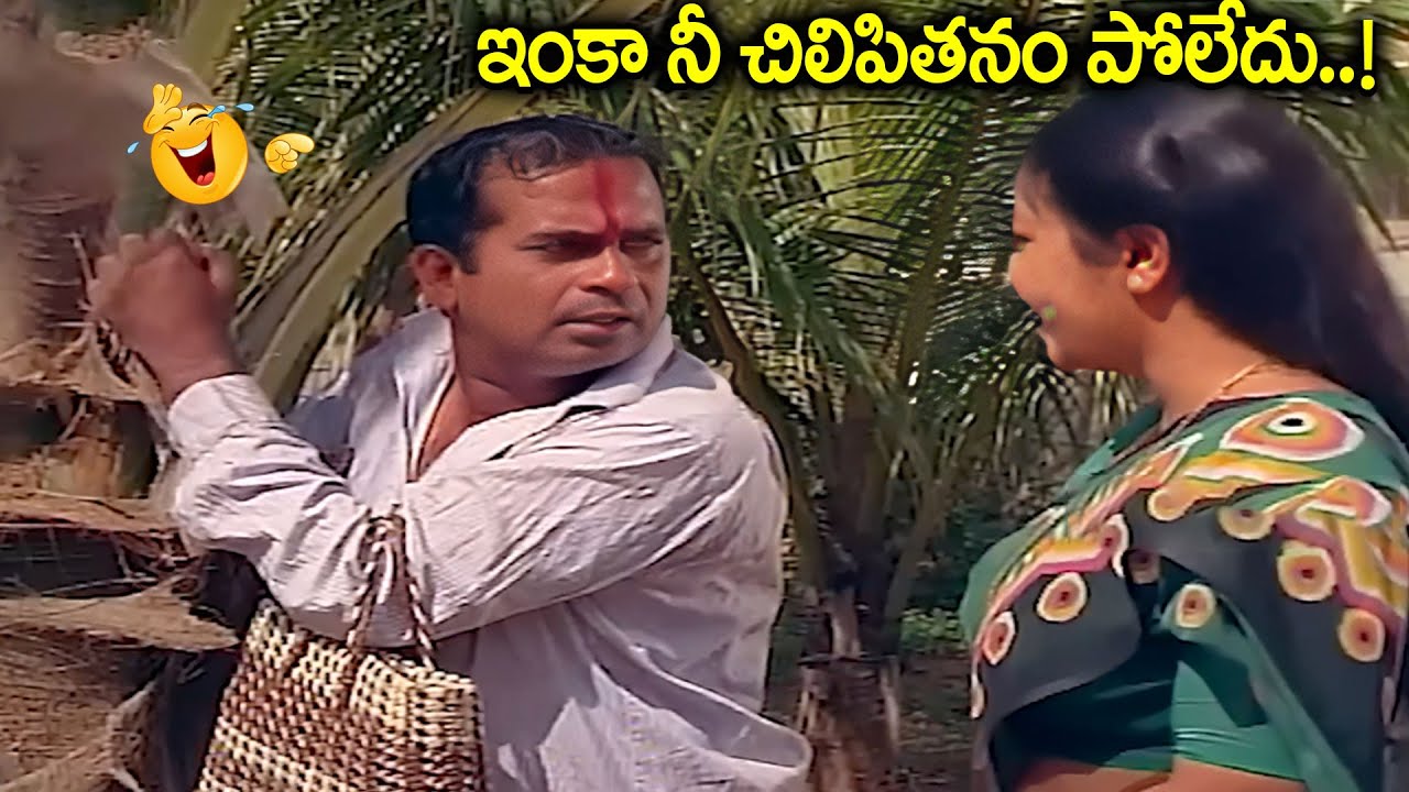 ఇంకా నీ చిలిపితనం పోలేదు..! | Brahmanandam B2B Comedy Scenes | iDream
