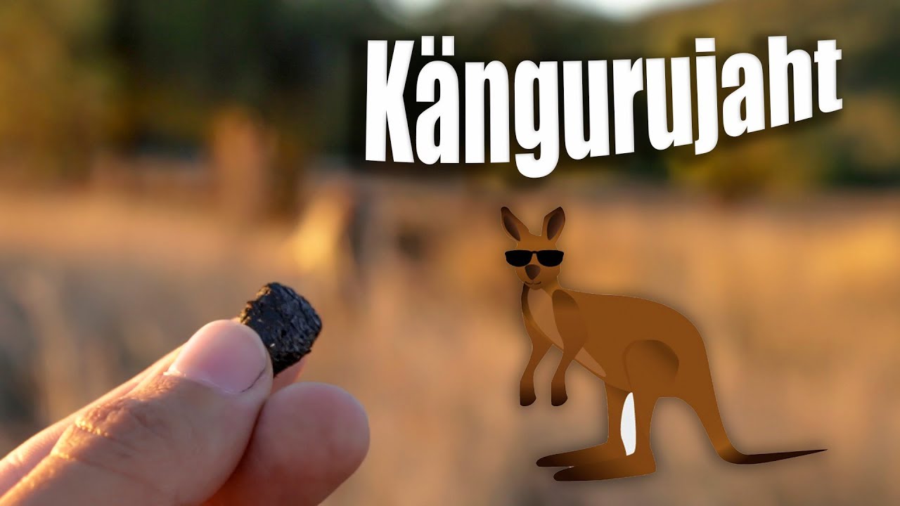 Ebaloomulikult sümmeetriline mägi ning kängurujaht