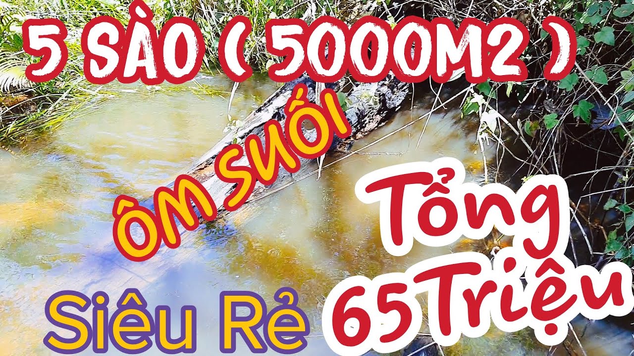 SIÊU RẺ CHỈ 65 TRIỆU CÓ 5 SÀO ( 5000m2) ĐẤT ÔM SUỐI Ô TÔ TẬN NƠI tại xã Nâm Njang Đắk Song Đắk Nông