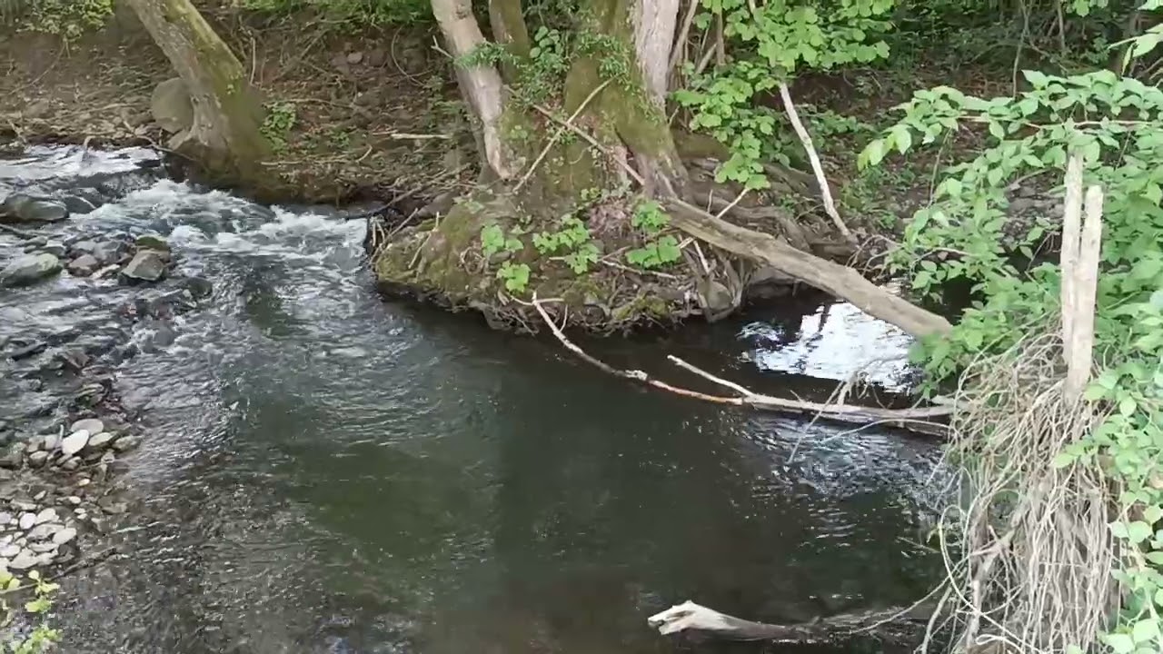 prechádzka okolo potoka