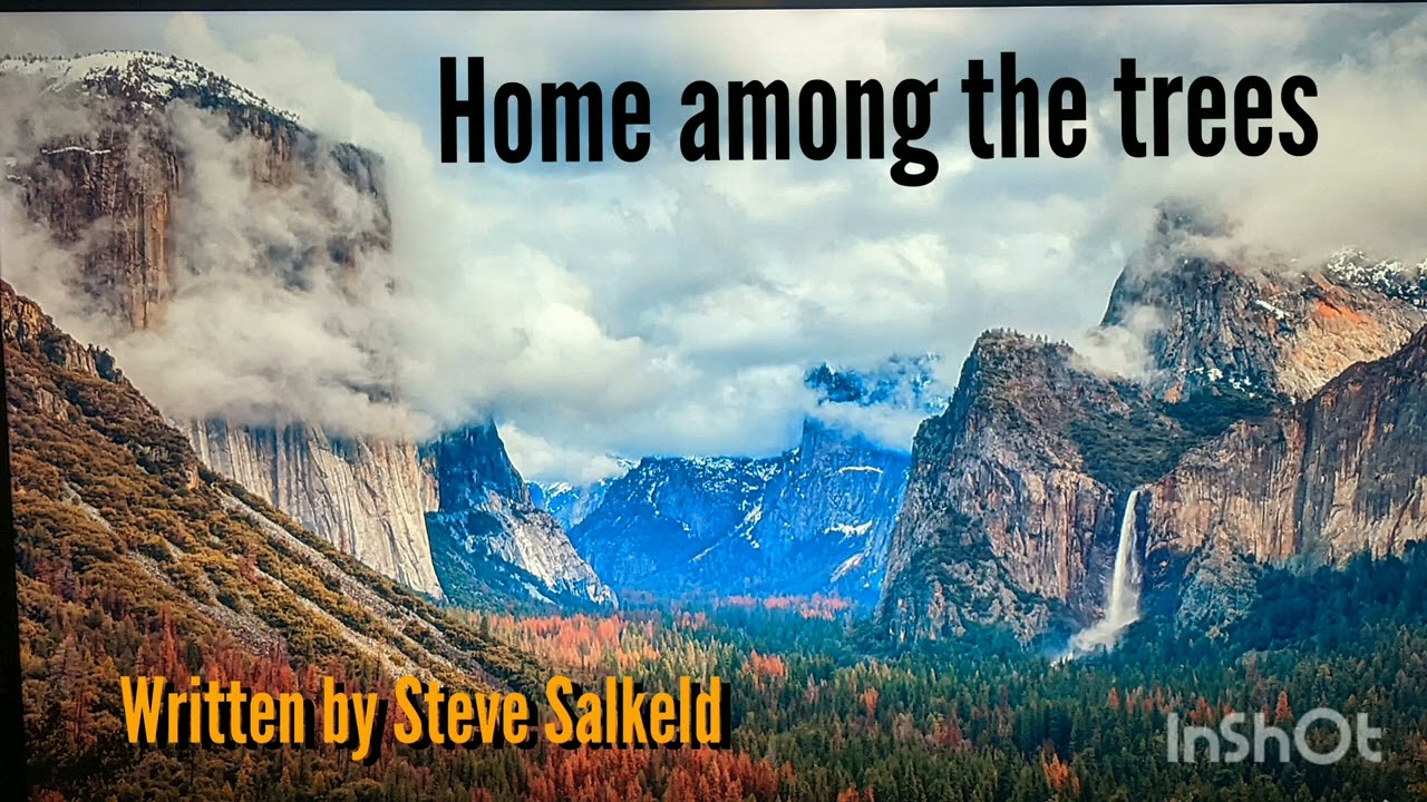 Home among the trees (Written by Steve Salkeld)