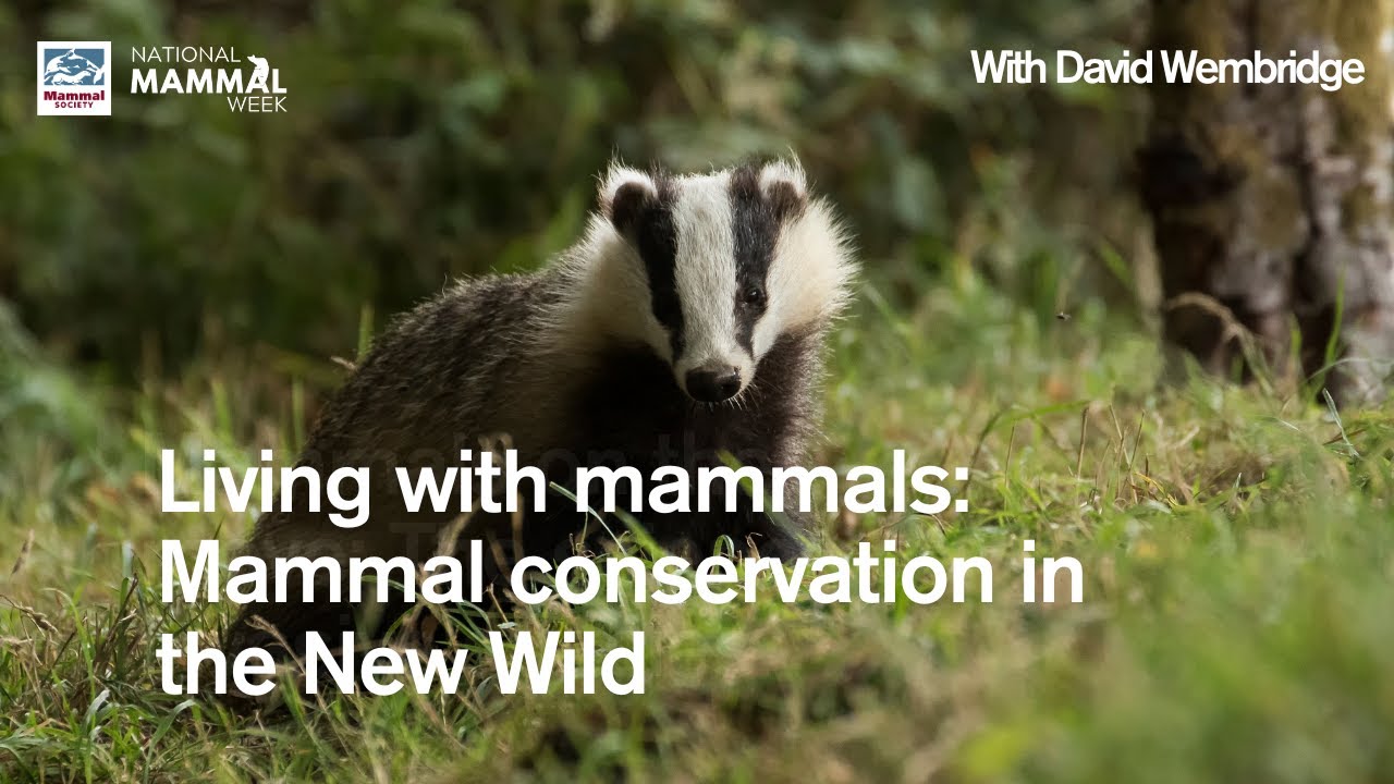 Living with mammals: Mammal conservation in the New Wild