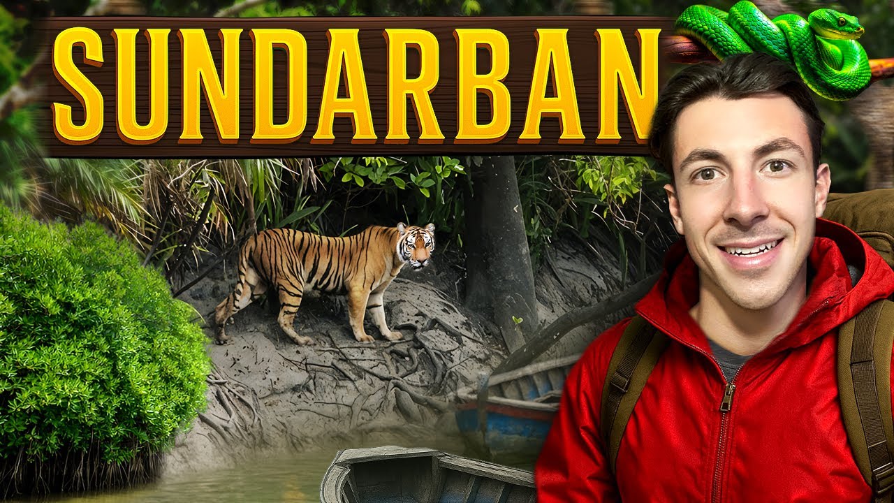 Exploring World Famous Bangladesh Forest 🇧🇩