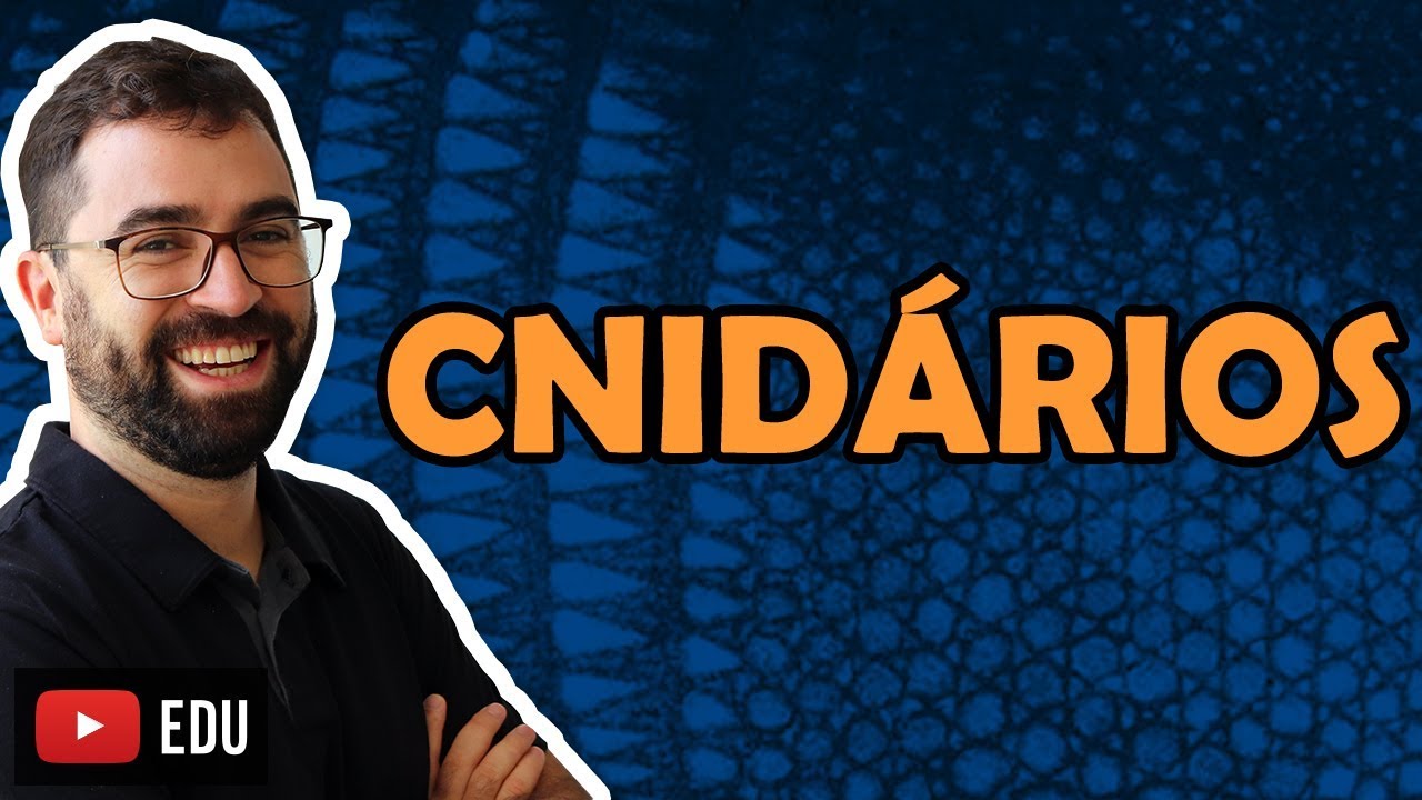 Cnidários ou Celenterados - Aula 09 - Módulo VI: Zoologia | Prof. Guilherme