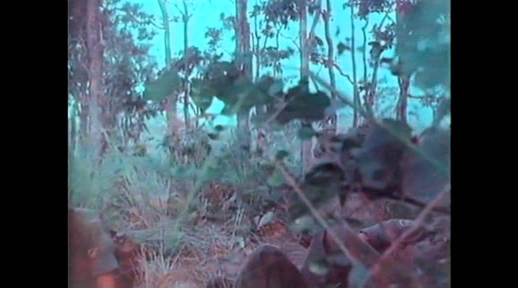 Lz Xray Combat Camera Footage (Part 1)