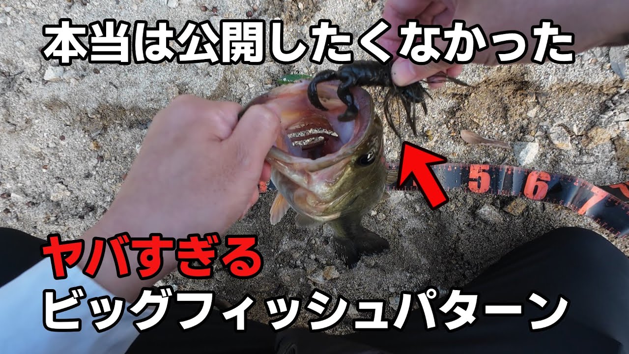 【バス釣り】初冬から春まで使える！！公開したくなかったビックフィッシュパターン