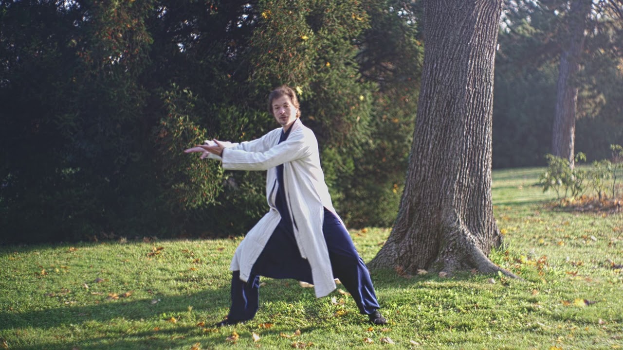 Tai He Quan - Learning the Movements - Part 2