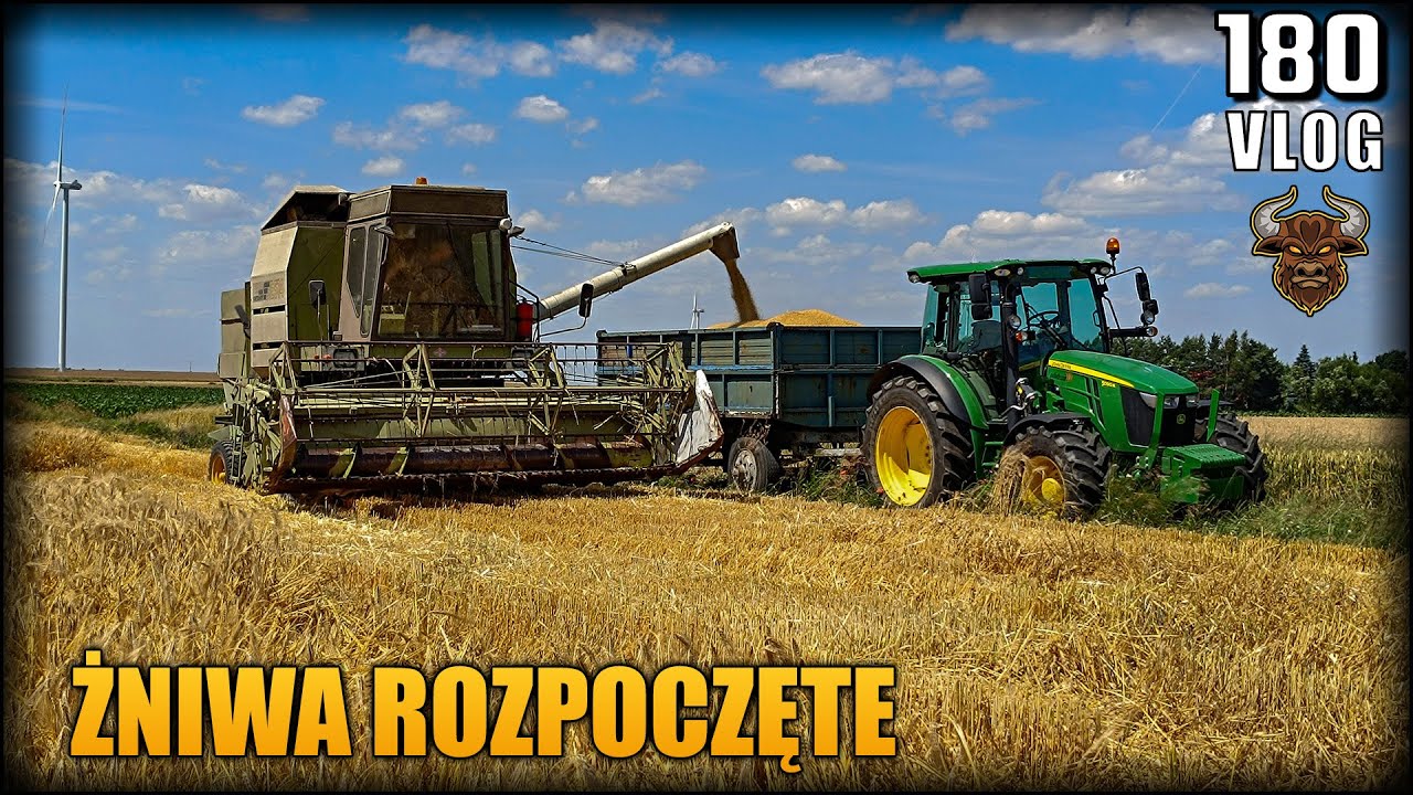 Zaczynamy żniwa! Jęczmień pod kosę | Vlog #180
