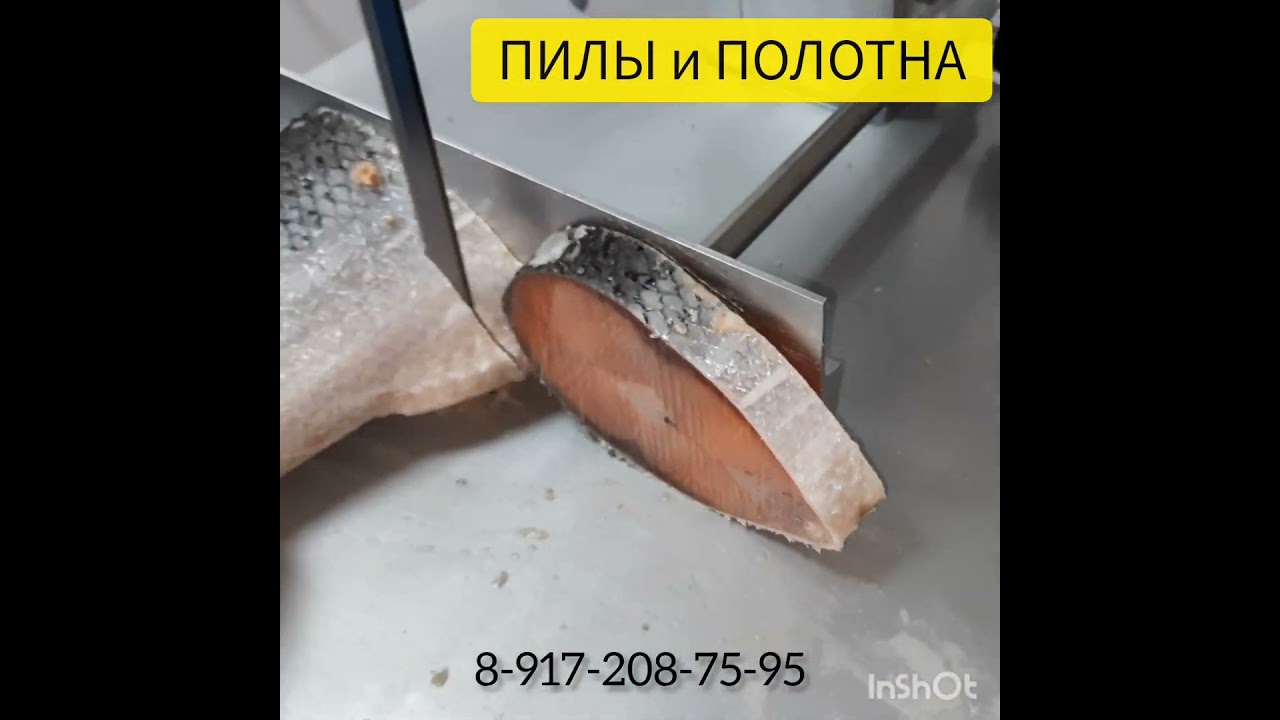Как нарезают аккуратные СТЕЙКИ ИЗ РЫБЫ и МЯСА? ЛЕНТОЧНАЯ ПИЛА. Пищевое оборудование для ресторанов