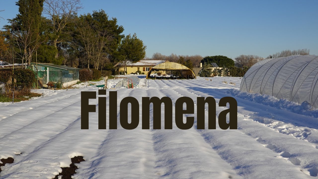Enero en la Huerta | Filomena