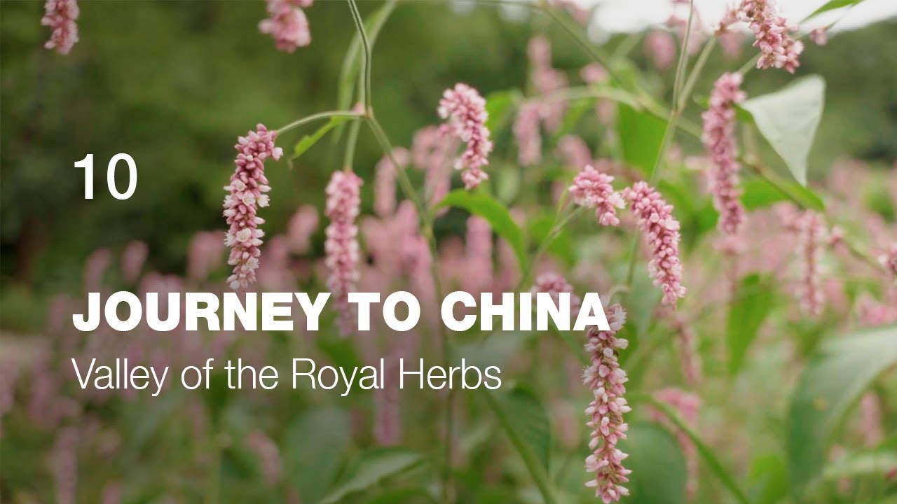 Valley of the Royal Herbs