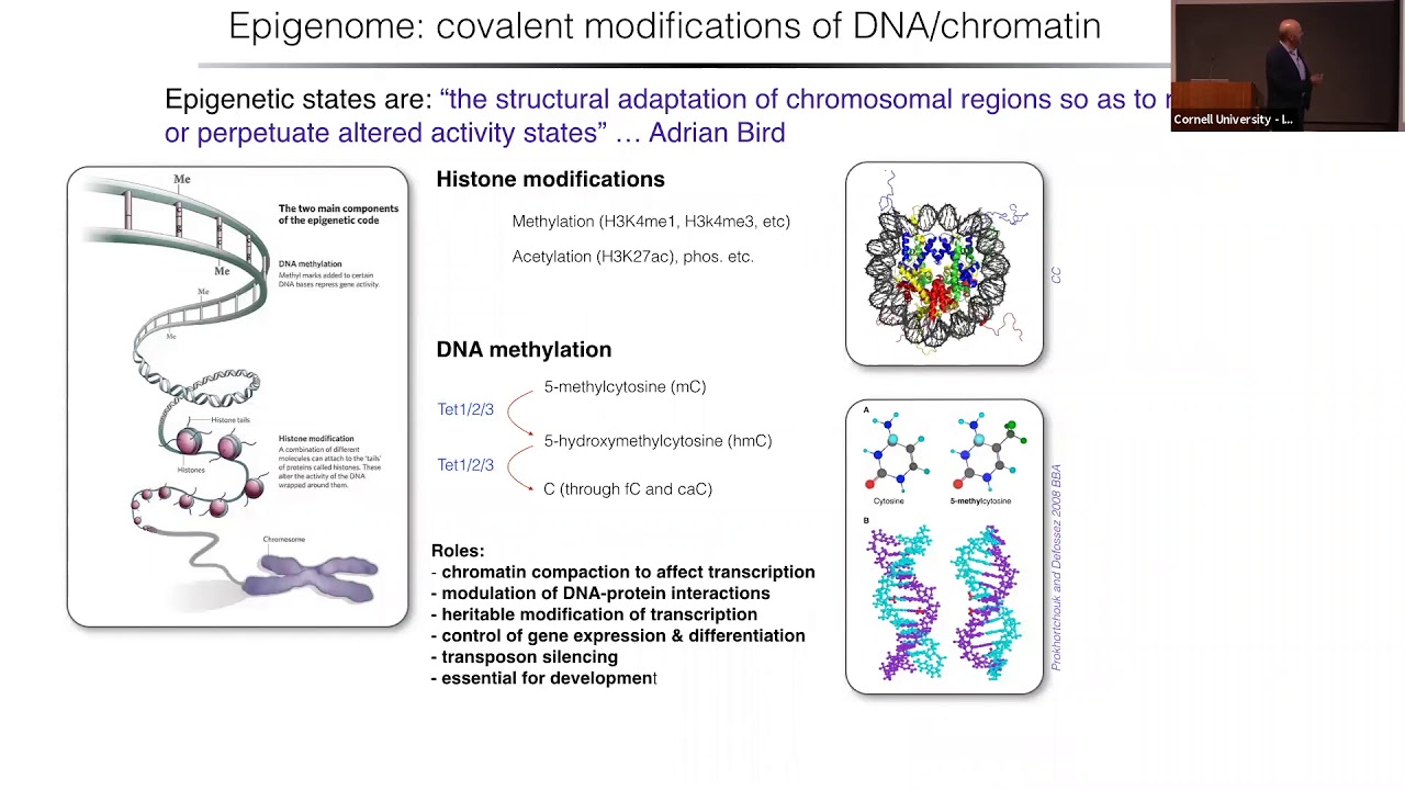 Joe Ecker: Epigenomics  of Neuron Diversity and Connectivity  in the Mammalian Brain