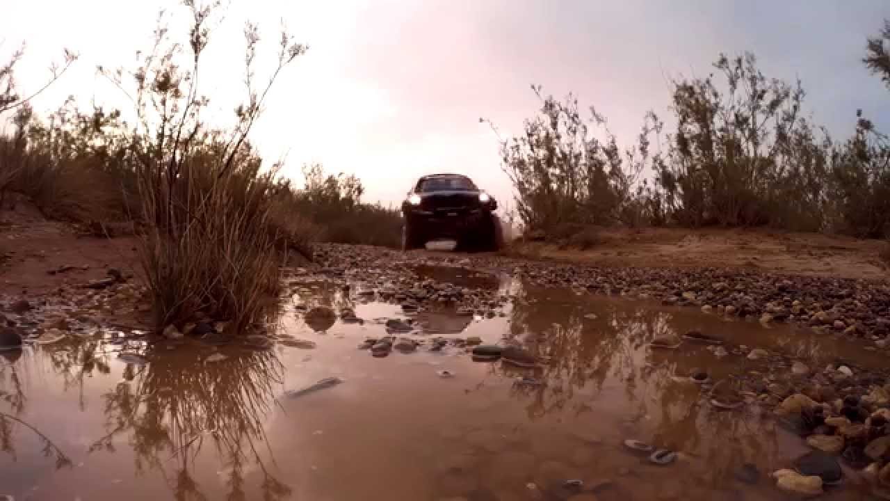 MINI ALL4 Racing Testing and Team