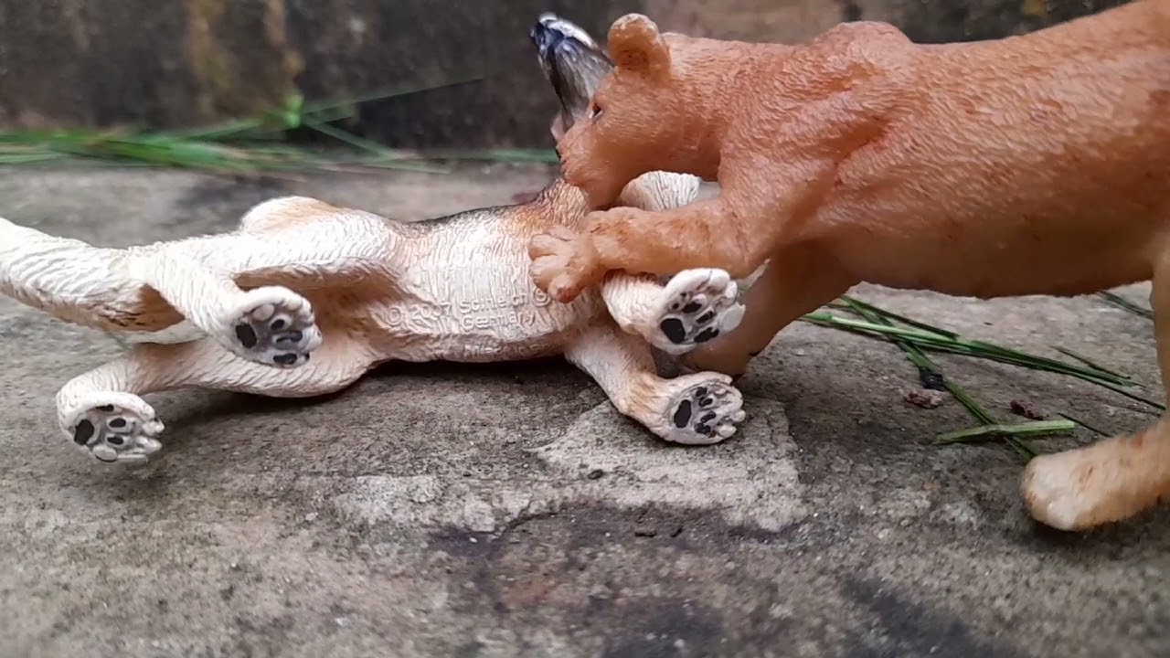 Betrayal EP4 ~ Schleich wolf/lion series