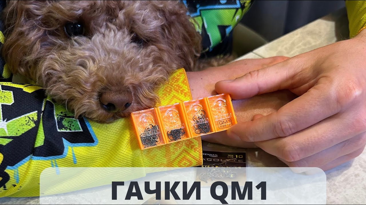 Гачки QM1 |  Збір на БпАК 