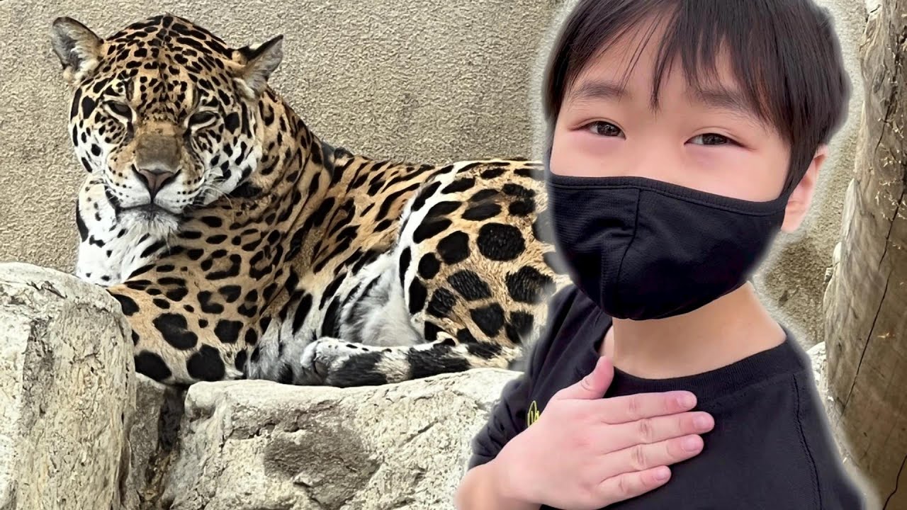 おでかけ 神戸市立王子動物園！キリンさんやコアラさんをみてみよう！ レオスマイル