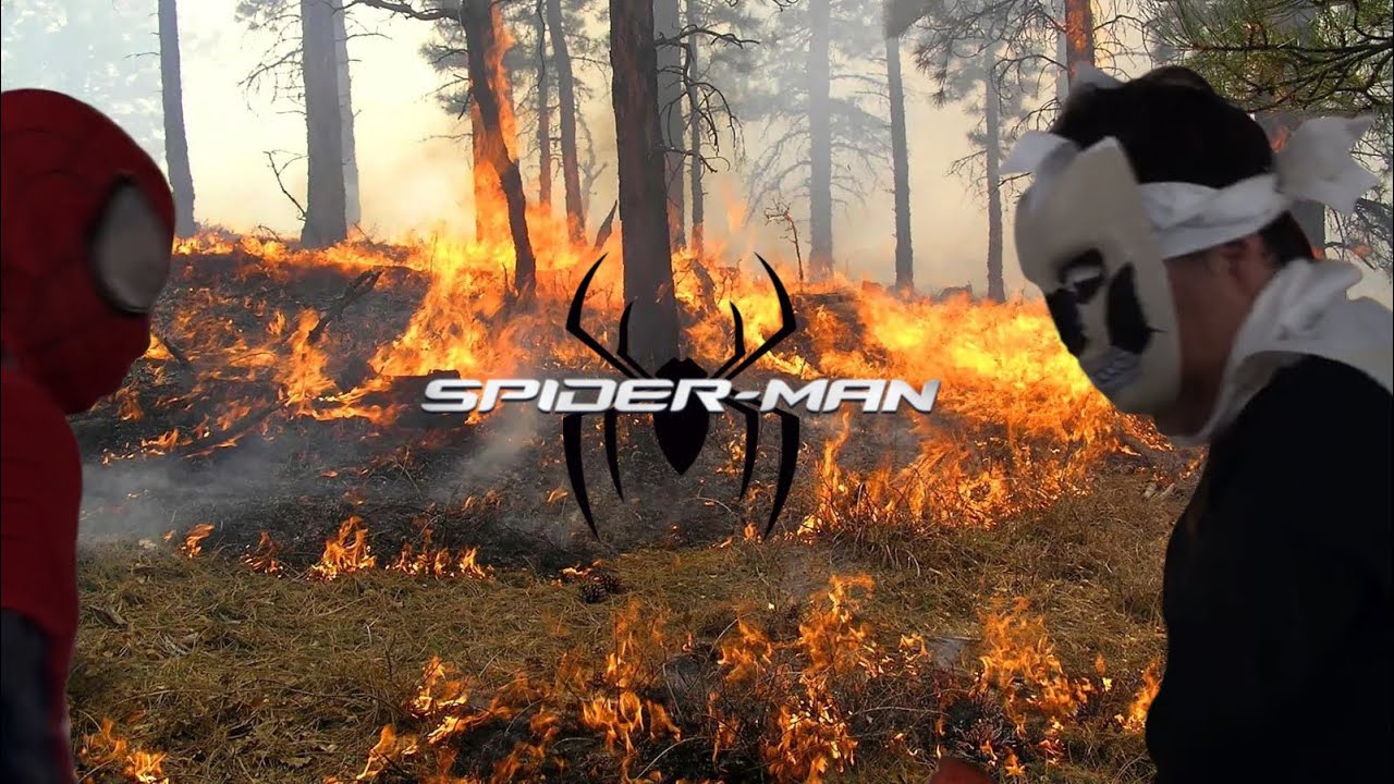 Spider-Man Vs. Taskmaster 