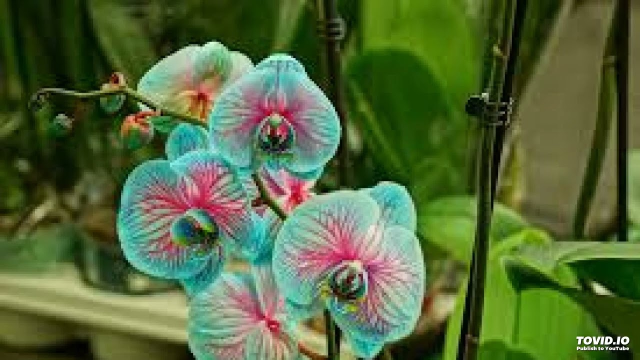 612B 2 Your Consciousness Imbued with Truth,  1951 Second Portland Series, Joel S Goldsmith