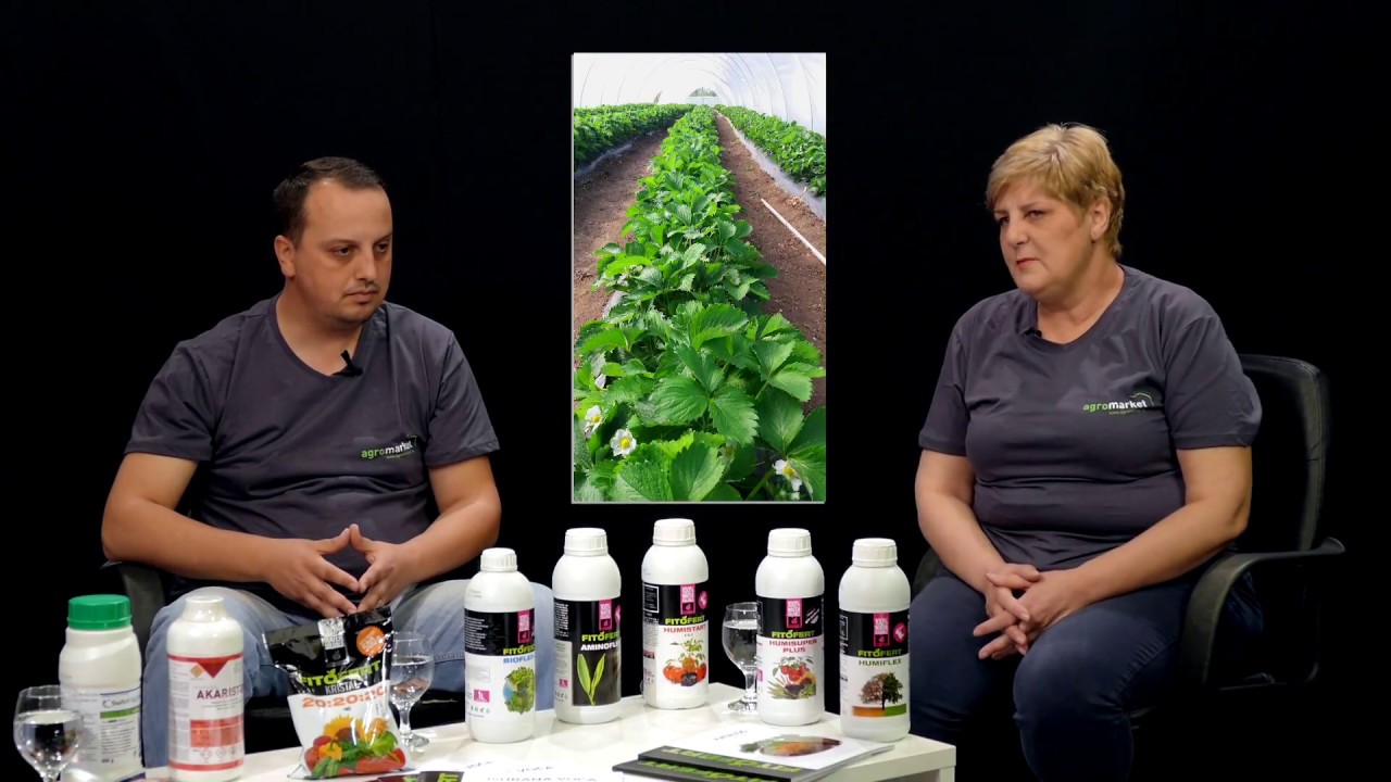 Fitofert: Prihrana jagode