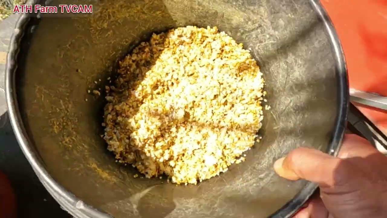 Raising Fish & Watch Baby Chicks Hatch and Grow Fast!