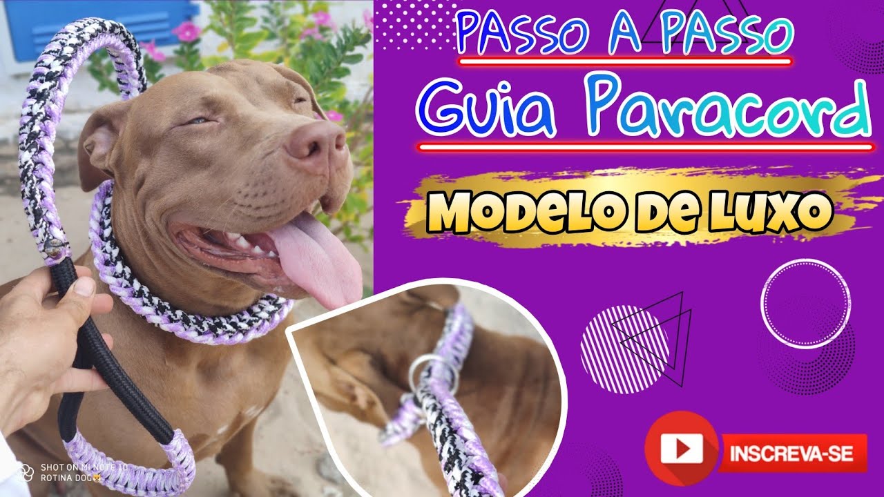 COMO FAZER GUIA DE PARACORD (Modelo de Luxo) Rotina Dog
